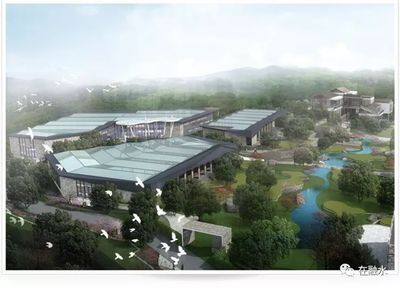 灵芝与文化创意的完美融合 广西仙草堂的企业探索